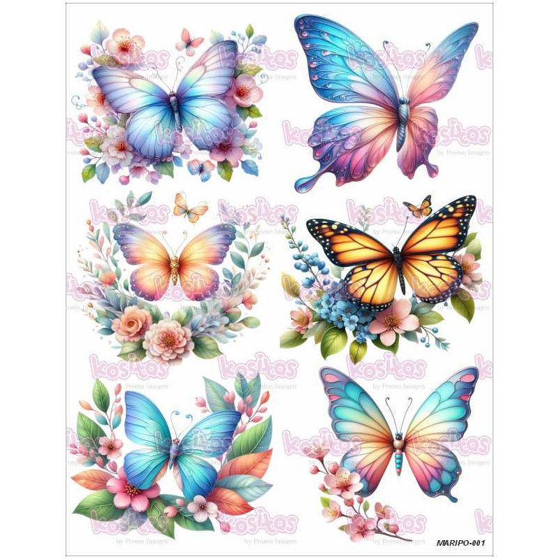 MARIPO 001