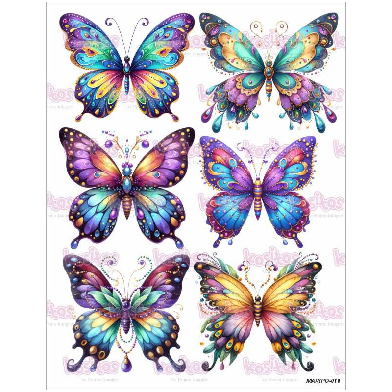 MARIPO 010