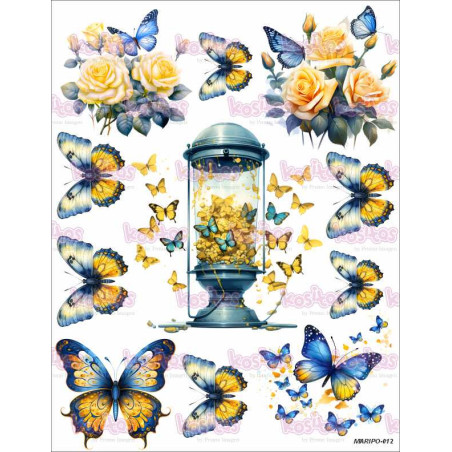 MARIPO 012