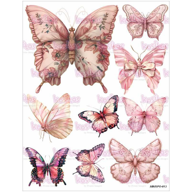 MARIPO 013